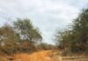 Mark Ndingo Hails Rehabilitation of Kavingo–Kambi–Kiumoni Roa