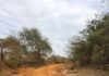 Residents Praise Grading of Muselele–Kwa Mutuku Road in Yatta Kwa Vonza